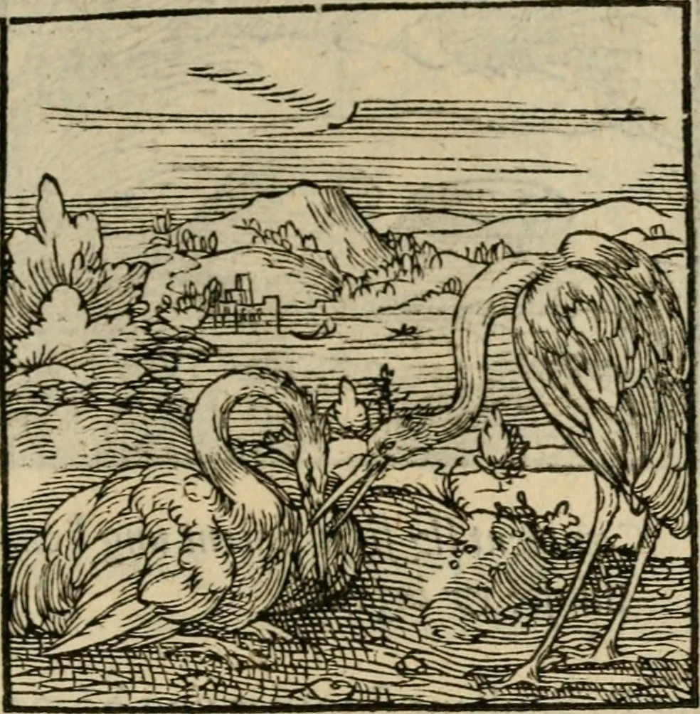 An illustration from Orvs Apollo de Ægypte De la signification des notes hieroglyphiques des Aegyptiens : cest a dire des figures par les quelles ilz escripuoient leurs mysteres secretz, & les choses sainctes & diuines, 1543, leaf 72