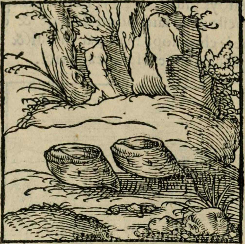 An illustration from Orvs Apollo de Ægypte De la signification des notes hieroglyphiques des Aegyptiens : cest a dire des figures par les quelles ilz escripuoient leurs mysteres secretz, & les choses sainctes & diuines, 1543, leaf 73