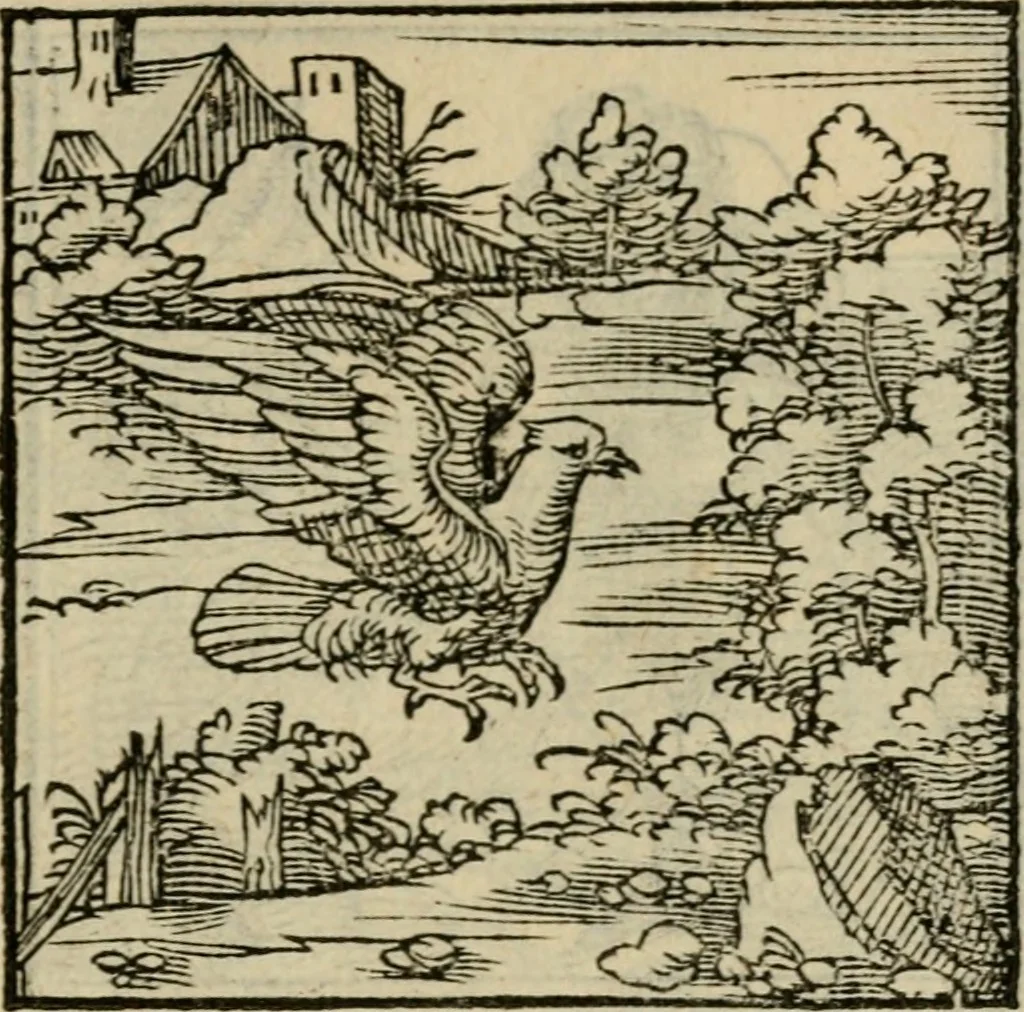 An illustration from Orvs Apollo de Ægypte De la signification des notes hieroglyphiques des Aegyptiens : cest a dire des figures par les quelles ilz escripuoient leurs mysteres secretz, & les choses sainctes & diuines, 1543, leaf 74