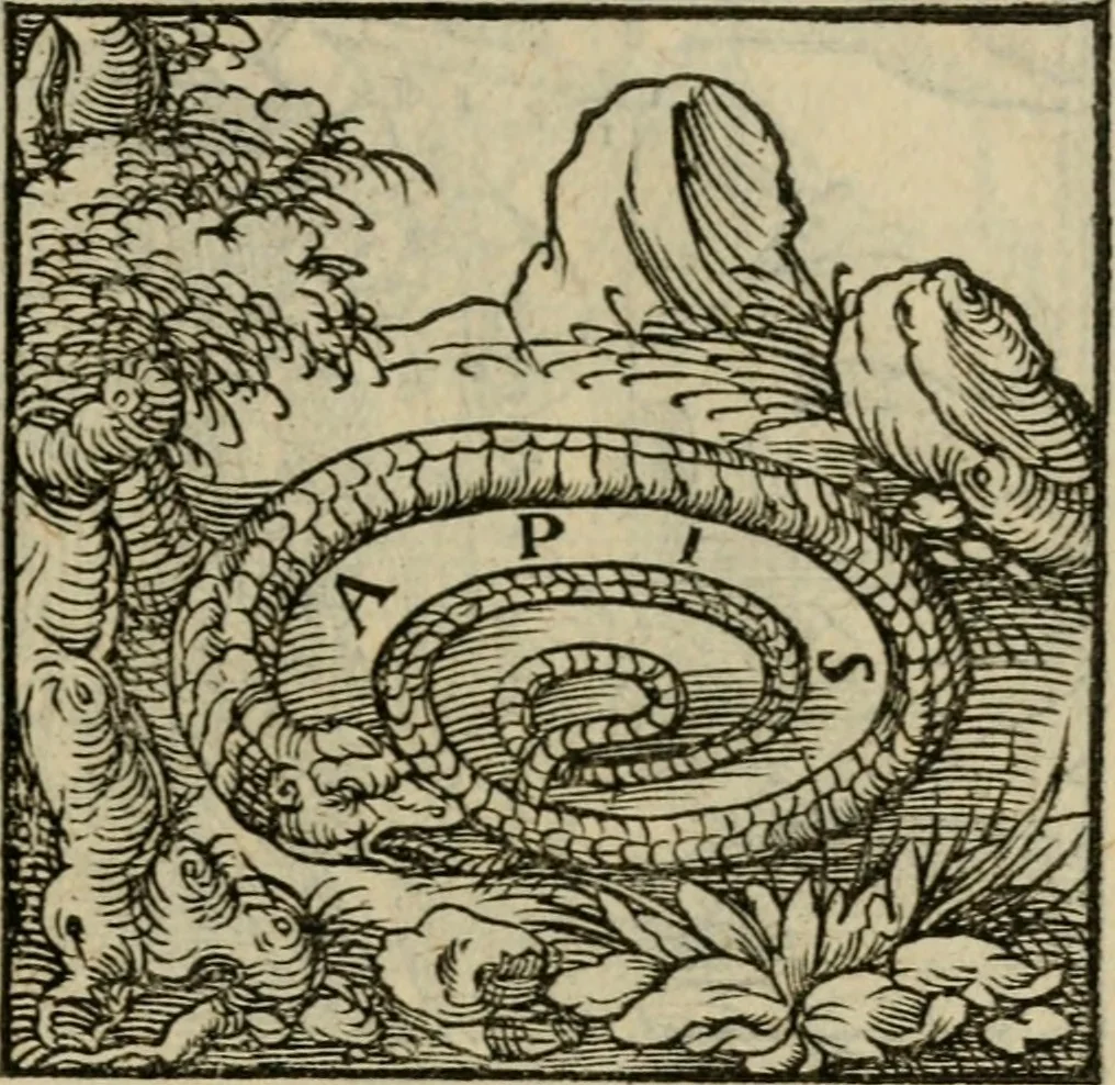 An illustration from Orvs Apollo de Ægypte De la signification des notes hieroglyphiques des Aegyptiens : cest a dire des figures par les quelles ilz escripuoient leurs mysteres secretz, & les choses sainctes & diuines, 1543, leaf 76