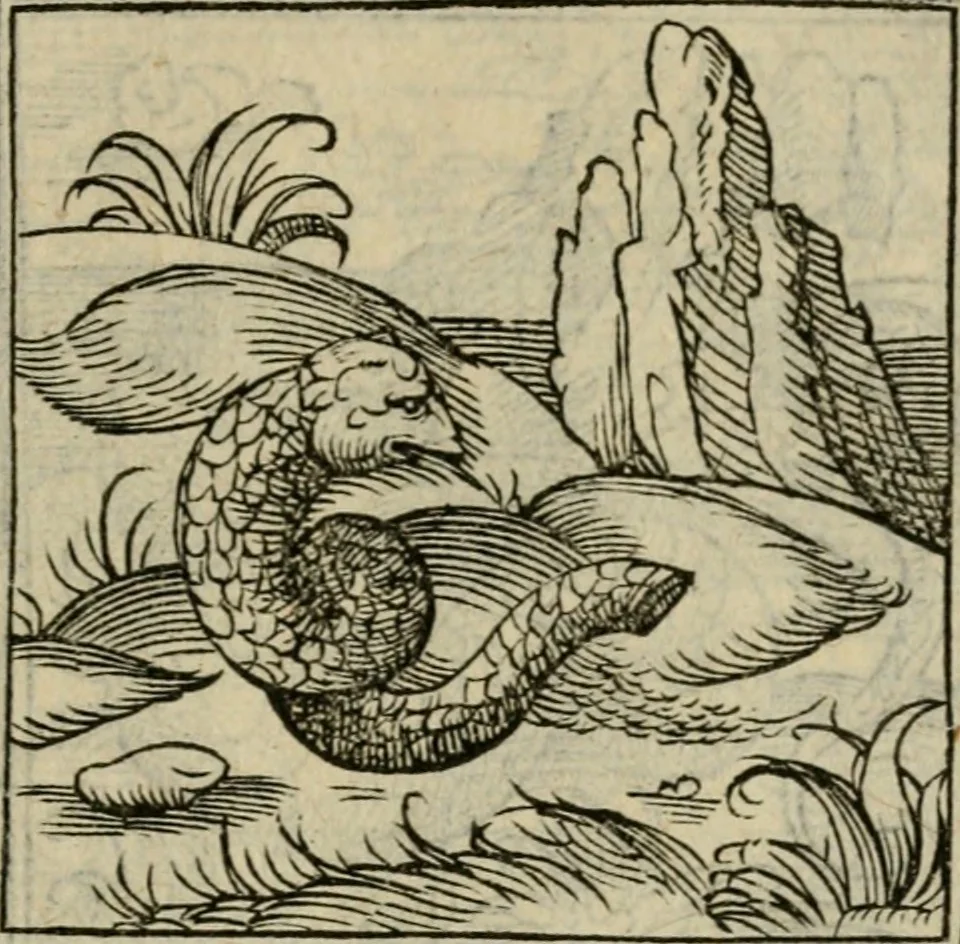 An illustration from Orvs Apollo de Ægypte De la signification des notes hieroglyphiques des Aegyptiens : cest a dire des figures par les quelles ilz escripuoient leurs mysteres secretz, & les choses sainctes & diuines, 1543, leaf 80