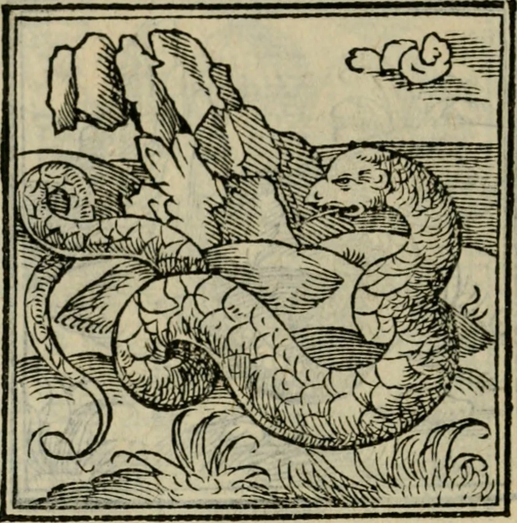 An illustration from Orvs Apollo de Ægypte De la signification des notes hieroglyphiques des Aegyptiens : cest a dire des figures par les quelles ilz escripuoient leurs mysteres secretz, & les choses sainctes & diuines, 1543, leaf 81