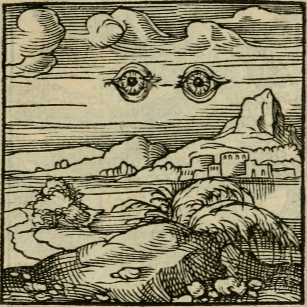 An illustration from Orvs Apollo de Ægypte De la signification des notes hieroglyphiques des Aegyptiens : cest a dire des figures par les quelles ilz escripuoient leurs mysteres secretz, & les choses sainctes & diuines, 1543, leaf 84