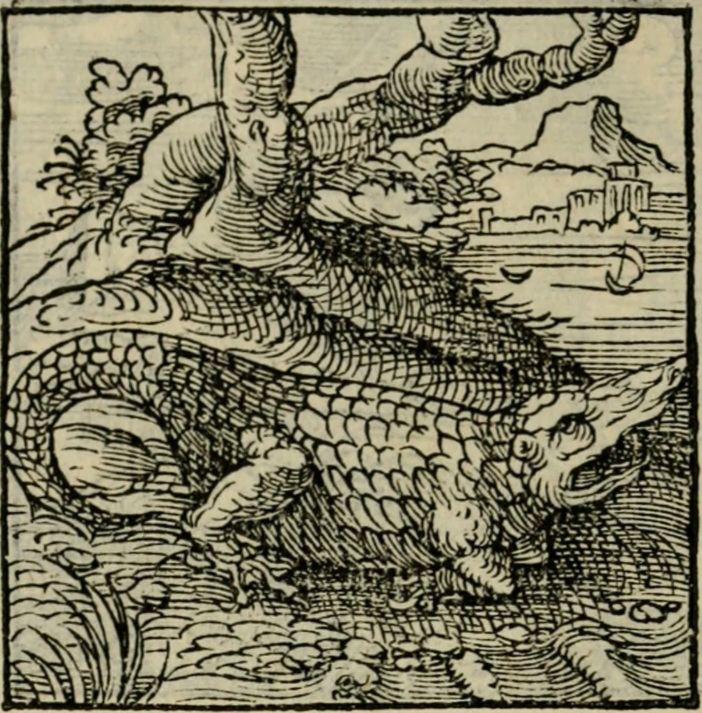 An illustration from Orvs Apollo de Ægypte De la signification des notes hieroglyphiques des Aegyptiens : cest a dire des figures par les quelles ilz escripuoient leurs mysteres secretz, & les choses sainctes & diuines, 1543, leaf 85