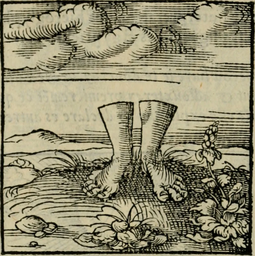 An illustration from Orvs Apollo de Ægypte De la signification des notes hieroglyphiques des Aegyptiens : cest a dire des figures par les quelles ilz escripuoient leurs mysteres secretz, & les choses sainctes & diuines, 1543, leaf 89