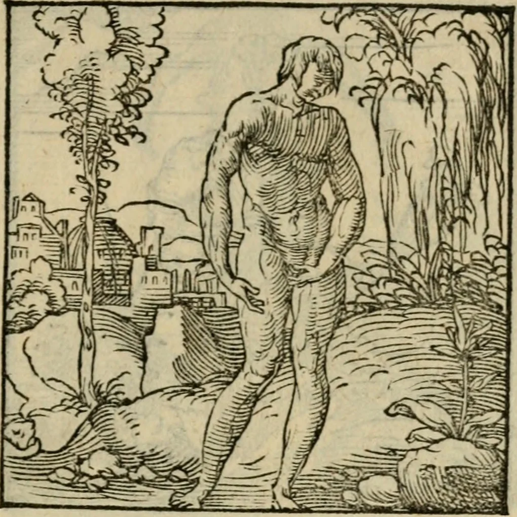 An illustration from Orvs Apollo de Ægypte De la signification des notes hieroglyphiques des Aegyptiens : cest a dire des figures par les quelles ilz escripuoient leurs mysteres secretz, & les choses sainctes & diuines, 1543, leaf 92