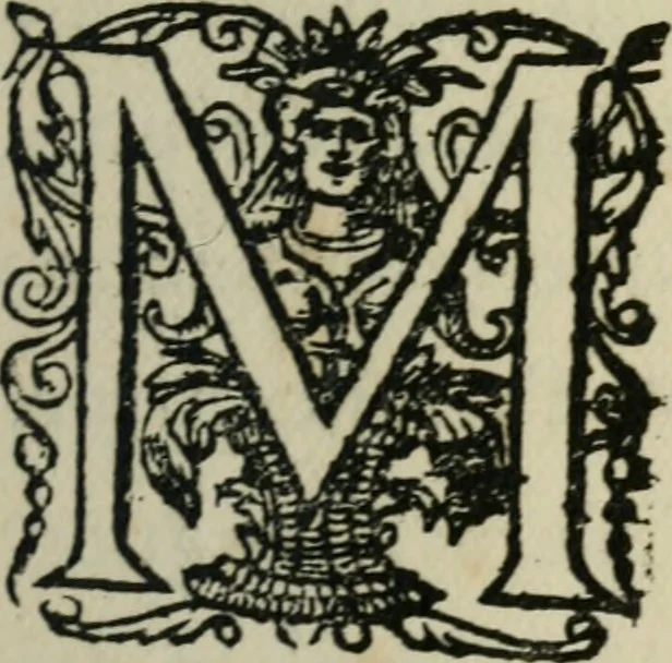 An illustration from Osman, 1656, leaf 8