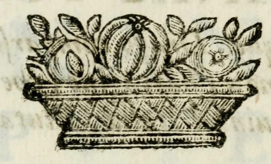 An illustration from Ossequio d'elicona : douuto dalle muse alla laurea di filosofia, et medicina del Signor Anania Pozzi : sotto gli auspitie dell' illustrissime, & reuerendissimo Monsignore Agostino Isimbardi conte &c. Vescouo di Cremona, leaf 16
