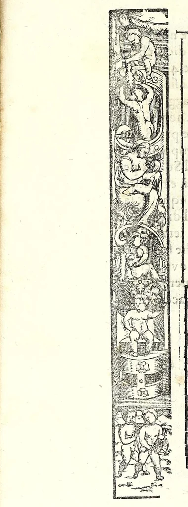 An illustration from Osseruazioni de astrologia et altre appartenenze, circa della medicina, & mutazione de tempi, 1567, leaf 22