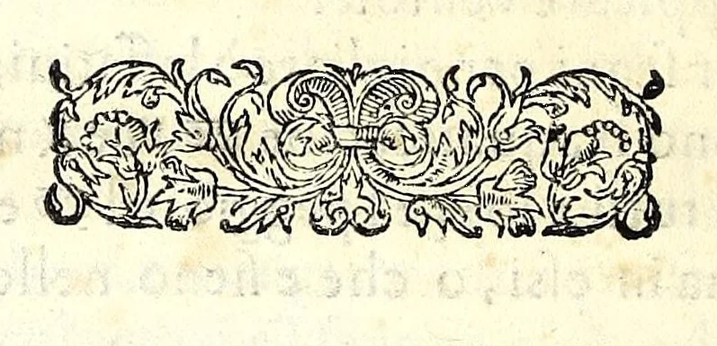 An illustration from Osseruazioni de astrologia et altre appartenenze, circa della medicina, & mutazione de tempi, 1567, leaf 74