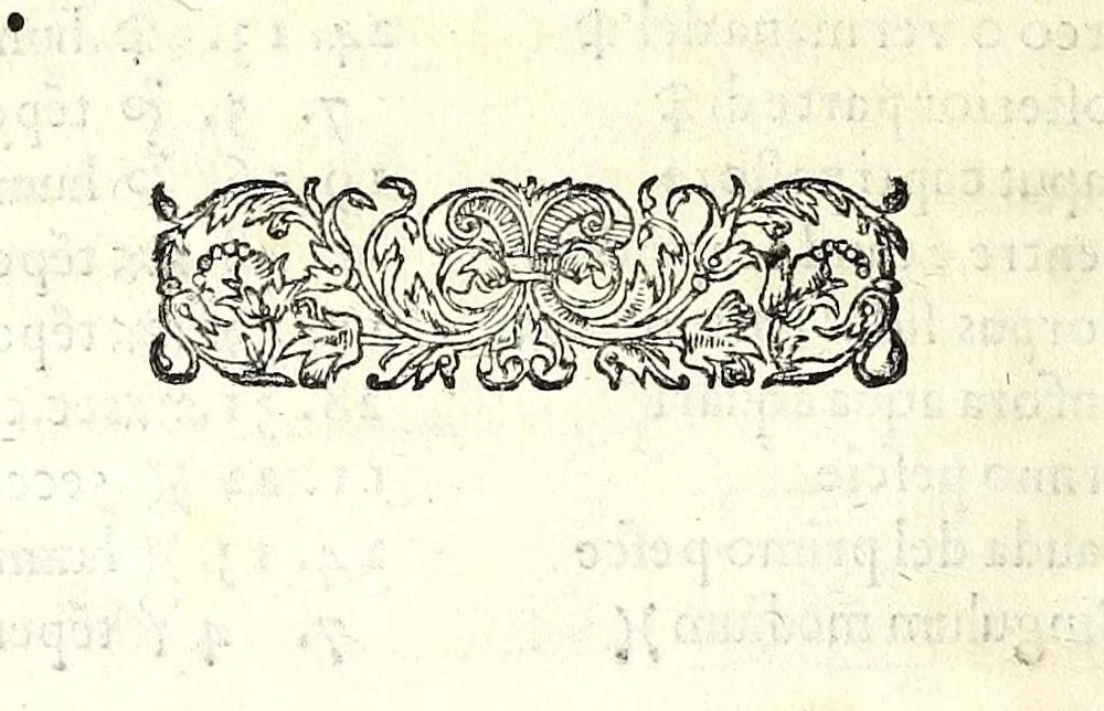 An illustration from Osseruazioni de astrologia et altre appartenenze, circa della medicina, & mutazione de tempi, 1567, leaf 84