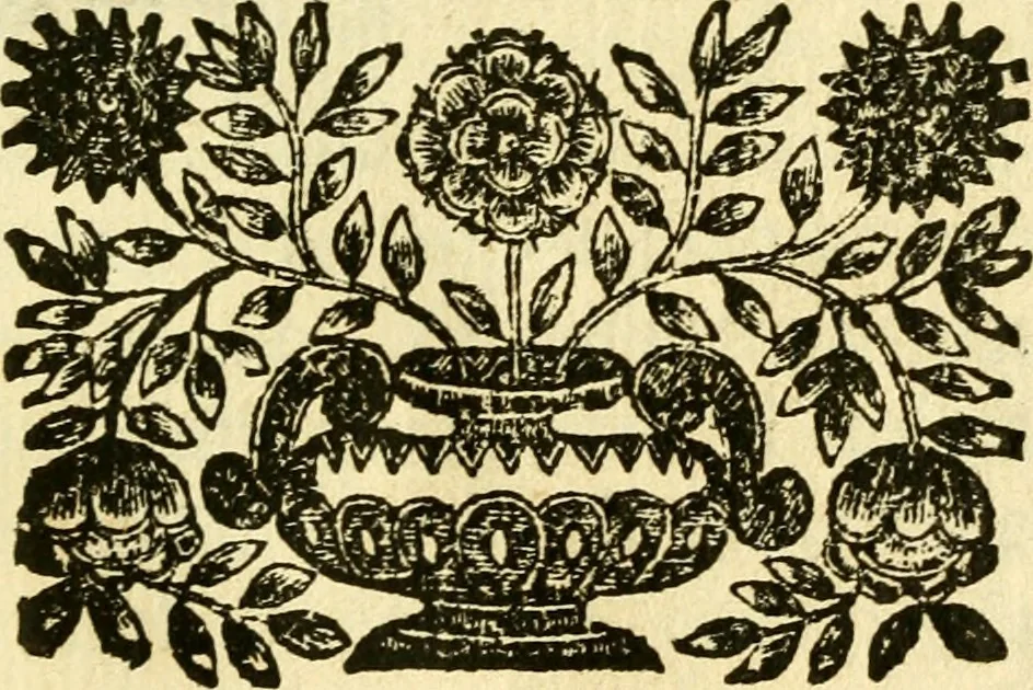 An illustration from Osservazioni anatomiche, 1687, leaf 6