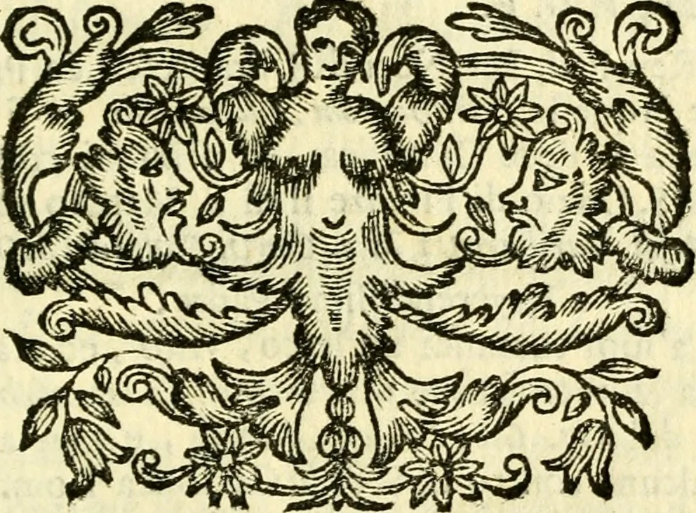 An illustration from Osservazioni anatomiche, 1687, leaf 84