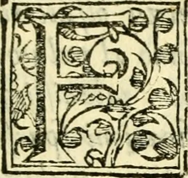 An illustration from Osservazioni anatomiche, 1687, leaf 86