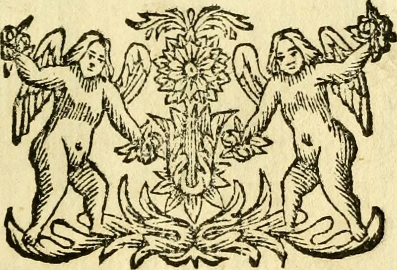 An illustration from Osservazioni anatomiche, 1687, leaf 98