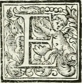 An illustration from Osservazioni di Ottavio Bocchi gentiluomo adriese sopra un antico teatro scoperto in Adria : agli eruditissimi Signori Accademici della nobile Accademia Etrusca dell'antichissima città di Cortona, 1739, leaf 14
