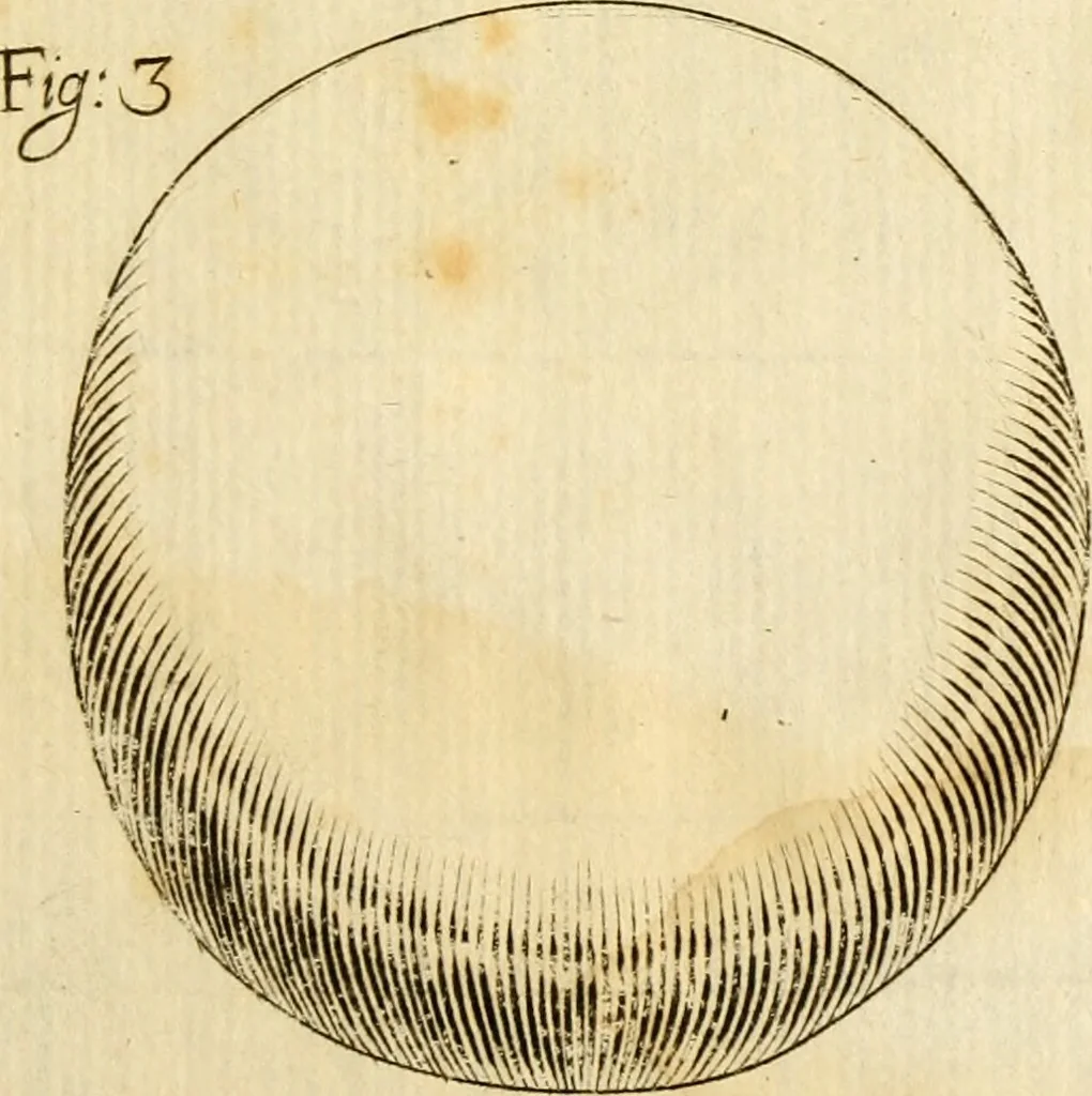 An illustration from Osservazioni intorno alle torpedini, 1678, leaf 148