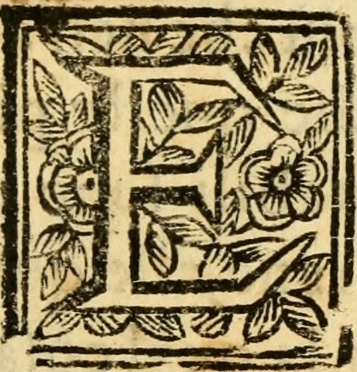 An illustration from Osservazioni intorno alle torpedini, 1678, leaf 6