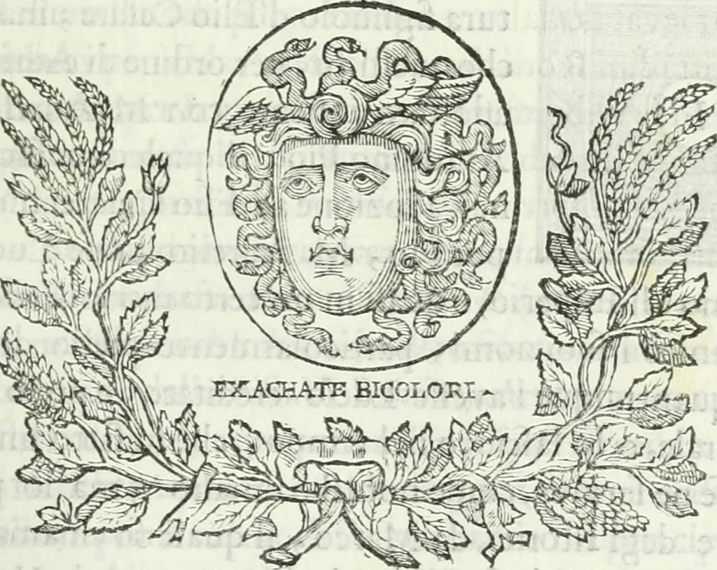 An illustration from Osservazioni istoriche sopra alcuni medaglioni antichi, 1698, leaf 178