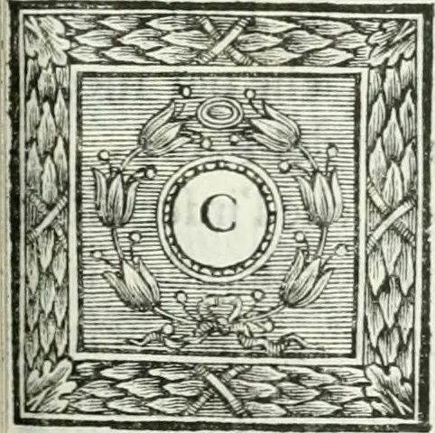 An illustration from Osservazioni istoriche sopra alcuni medaglioni antichi, 1698, leaf 392