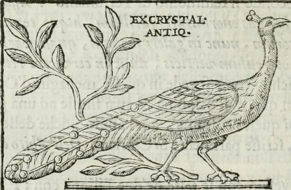 An illustration from Osservazioni istoriche sopra alcuni medaglioni antichi, 1698, leaf 401