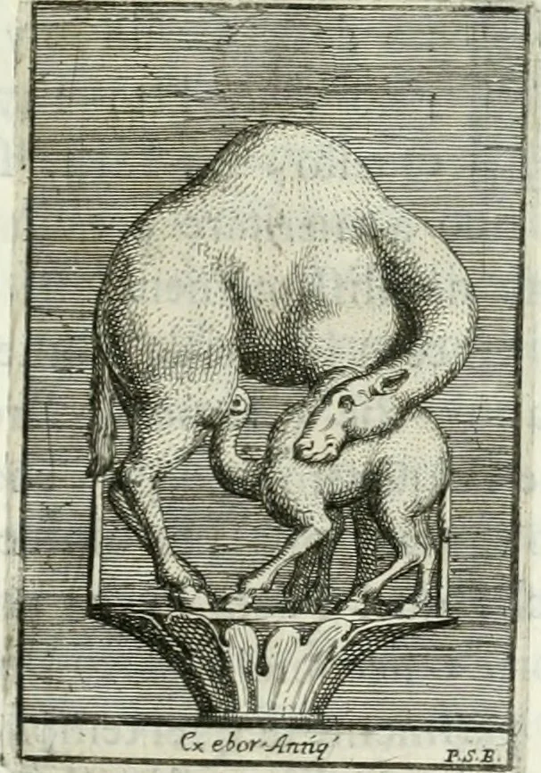 An illustration from Osservazioni istoriche sopra alcuni medaglioni antichi, 1698, leaf 468