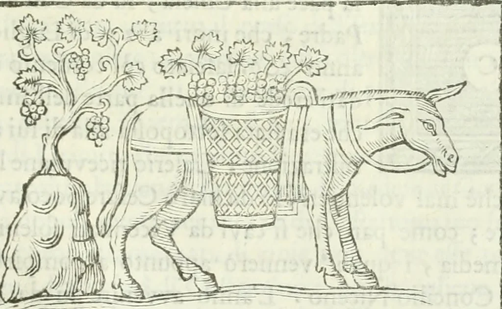 An illustration from Osservazioni istoriche sopra alcuni medaglioni antichi, 1698, leaf 488