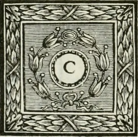 An illustration from Osservazioni istoriche sopra alcuni medaglioni antichi, 1698, leaf 489