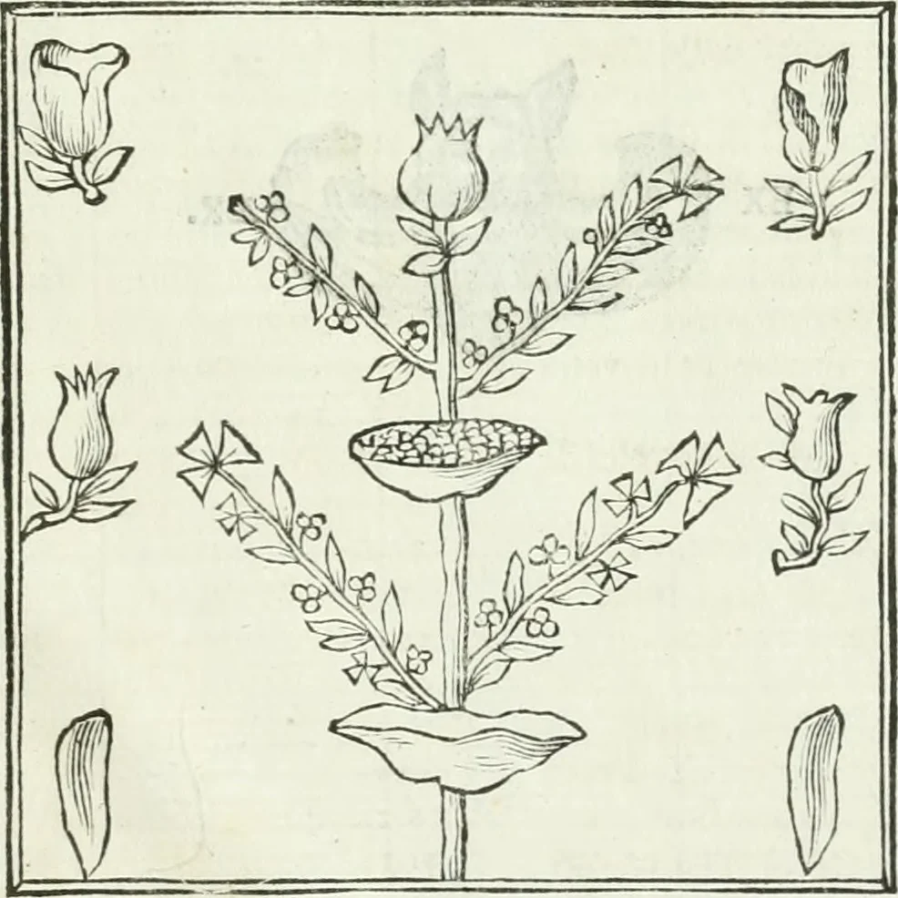 An illustration from Osservazioni istoriche sopra alcuni medaglioni antichi, 1698, leaf 602
