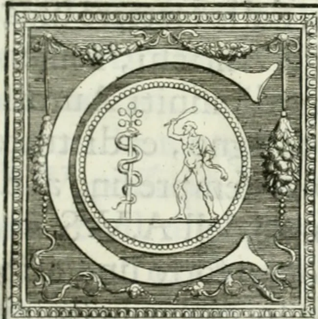 An illustration from Osservazioni istoriche sopra alcuni medaglioni antichi, 1698, leaf 8
