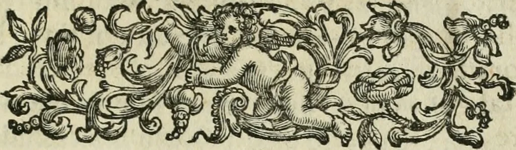 An illustration from Osservazioni sopra il libro della Felsina pittrice per difesa di Raffaello da Urbino, dei Caracci, e della loro scuola, 1703, leaf 116