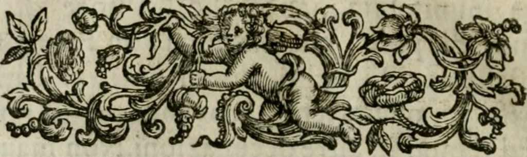 An illustration from Osservazioni sopra il libro della Felsina pittrice per difesa di Raffaello da Urbino, dei Caracci, e della loro scuola, 1703, leaf 29