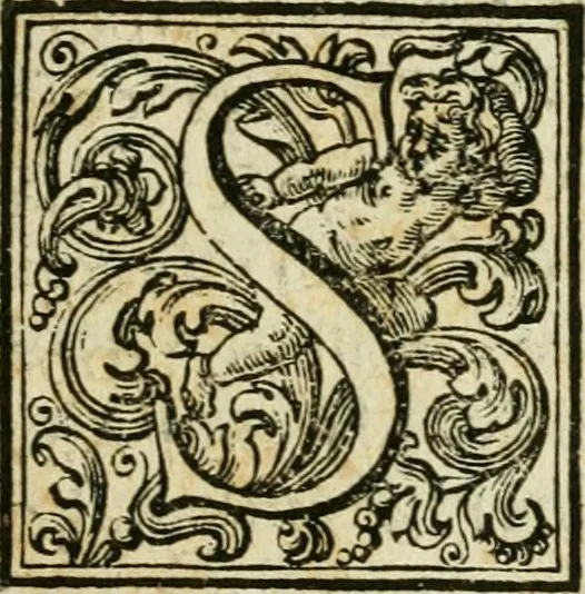 An illustration from Osservazioni sopra il libro della Felsina pittrice per difesa di Raffaello da Urbino, dei Caracci, e della loro scuola, 1703, leaf 50