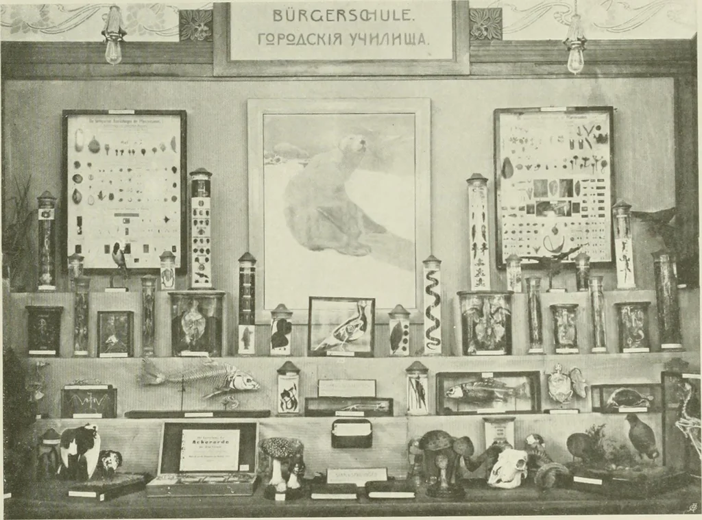 An illustration from Österreich auf der Internationalen Wissenschaftlichen und Gewerblichen Ausstellung 'Die Kinderwelt' in St. Petersburg, 1903/1904 : Bericht der Österr. Kommission, 1904, leaf 188