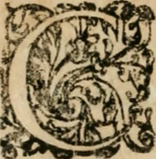 An illustration from Osualdi Crollii Veterani Hassi Basilica chymica : continens philosophicam propria laborum experientia confirmatum descriptionem & usum remediorum chymicorum selectissimorum è lumine gratiae & naturae desumptorum : in fine libri additus est eiusdem autoris tractatus nouus De signaturis rerum internis, 1609, leaf 11