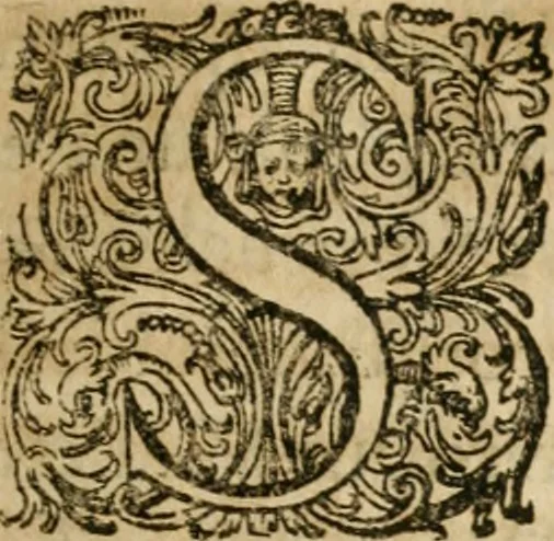 An illustration from Osualdi Crollii Veterani Hassi Basilica chymica : continens philosophicam propria laborum experientia confirmatum descriptionem & usum remediorum chymicorum selectissimorum è lumine gratiae & naturae desumptorum : in fine libri additus est eiusdem autoris tractatus nouus De signaturis rerum internis, 1609, leaf 134