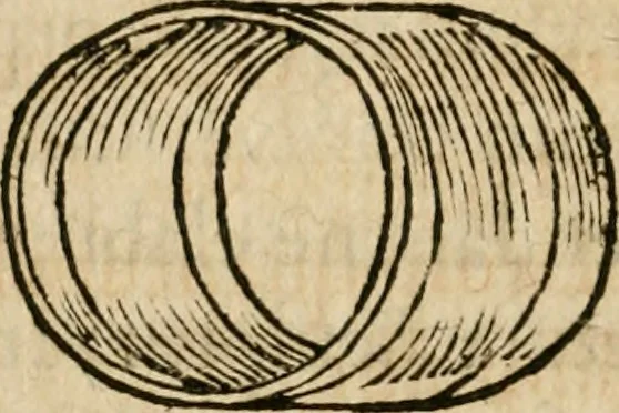 An illustration from Osualdi Crollii Veterani Hassi Basilica chymica : continens philosophicam propria laborum experientia confirmatum descriptionem & usum remediorum chymicorum selectissimorum è lumine gratiae & naturae desumptorum : in fine libri additus est eiusdem autoris tractatus nouus De signaturis rerum internis, 1609, leaf 261