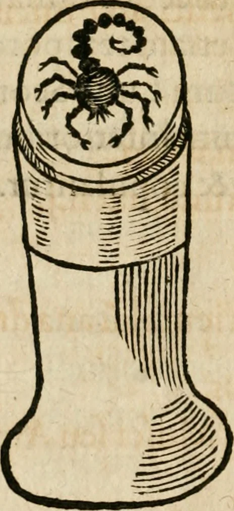 An illustration from Osualdi Crollii Veterani Hassi Basilica chymica : continens philosophicam propria laborum experientia confirmatum descriptionem & usum remediorum chymicorum selectissimorum è lumine gratiae & naturae desumptorum : in fine libri additus est eiusdem autoris tractatus nouus De signaturis rerum internis, 1609, leaf 261