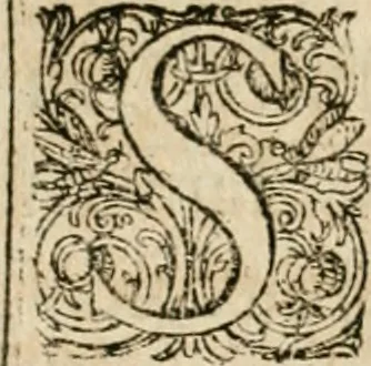 An illustration from Osualdi Crollii Veterani Hassi Basilica chymica : continens philosophicam propria laborum experientia confirmatum descriptionem & usum remediorum chymicorum selectissimorum è lumine gratiae & naturae desumptorum : in fine libri additus est eiusdem autoris tractatus nouus De signaturis rerum internis, 1609, leaf 307