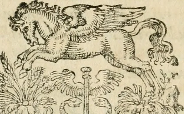 An illustration from Osualdi Crollii Veterani Hassi Basilica chymica : continens philosophicam propria laborum experientia confirmatum descriptionem & usum remediorum chymicorum selectissimorum è lumine gratiae & naturae desumptorum : in fine libri additus est eiusdem autoris tractatus nouus De signaturis rerum internis, 1609, leaf 333