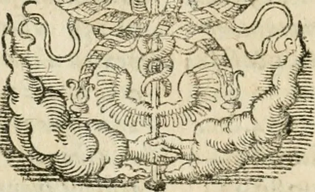 An illustration from Osualdi Crollii Veterani Hassi Basilica chymica : continens philosophicam propria laborum experientia confirmatum descriptionem & usum remediorum chymicorum selectissimorum è lumine gratiae & naturae desumptorum : in fine libri additus est eiusdem autoris tractatus nouus De signaturis rerum internis, 1609, leaf 333