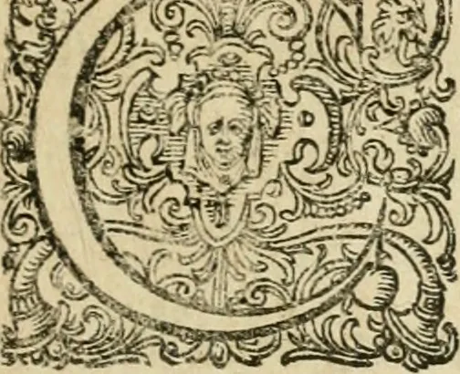 An illustration from Osualdi Crollii Veterani Hassi Basilica chymica : continens philosophicam propria laborum experientia confirmatum descriptionem & usum remediorum chymicorum selectissimorum è lumine gratiae & naturae desumptorum : in fine libri additus est eiusdem autoris tractatus nouus De signaturis rerum internis, 1609, leaf 338