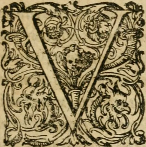 An illustration from Osualdi Crollii Veterani Hassi Basilica chymica : continens philosophicam propria laborum experientia confirmatum descriptionem & usum remediorum chymicorum selectissimorum è lumine gratiae & naturae desumptorum : in fine libri additus est eiusdem autoris tractatus nouus De signaturis rerum internis, 1609, leaf 352