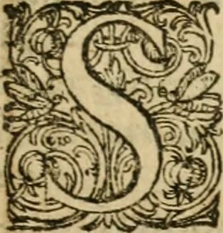 An illustration from Osualdi Crollii Veterani Hassi Basilica chymica : continens philosophicam propria laborum experientia confirmatum descriptionem & usum remediorum chymicorum selectissimorum è lumine gratiae & naturae desumptorum : in fine libri additus est eiusdem autoris tractatus nouus De signaturis rerum internis, 1609, leaf 432