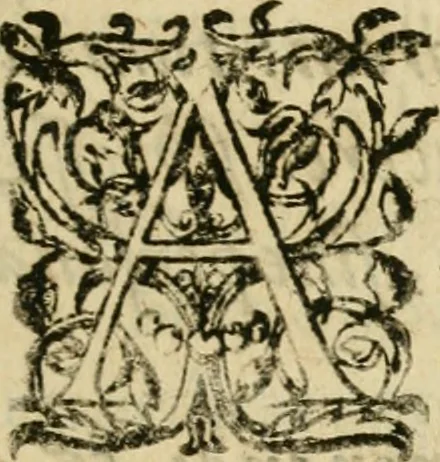 An illustration from Osualdi Crollii Veterani Hassi Basilica chymica : continens philosophicam propria laborum experientia confirmatum descriptionem & usum remediorum chymicorum selectissimorum è lumine gratiae & naturae desumptorum : in fine libri additus est eiusdem autoris tractatus nouus De signaturis rerum internis, 1609, leaf 460