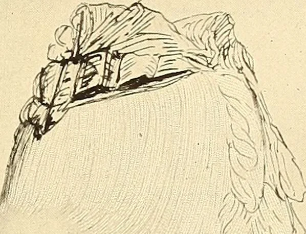 An illustration from Other famous homes of Great Britain and their stories, 1902, leaf 140