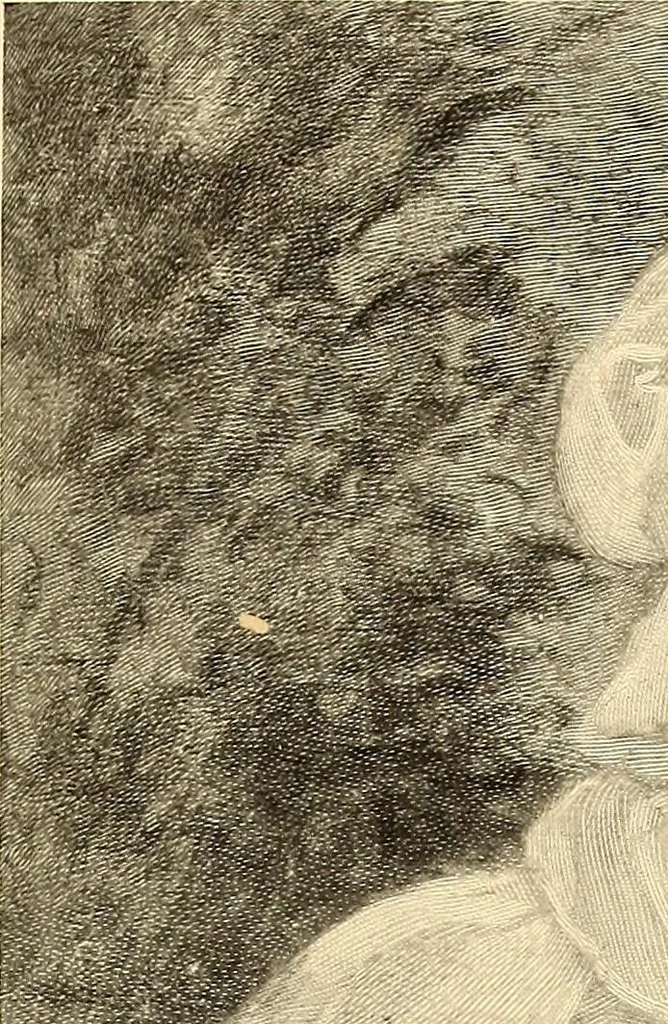 An illustration from Other famous homes of Great Britain and their stories, 1902, leaf 184