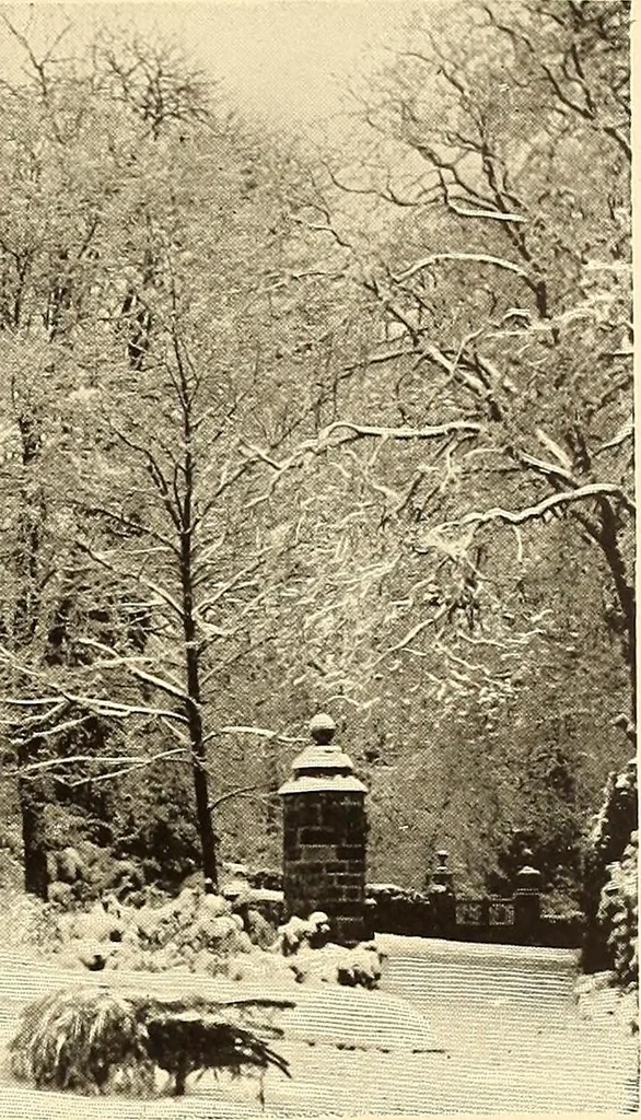 An illustration from Other famous homes of Great Britain and their stories, 1902, leaf 244