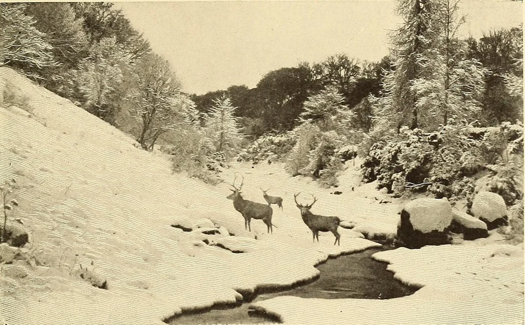 An illustration from Other famous homes of Great Britain and their stories, 1902, leaf 252