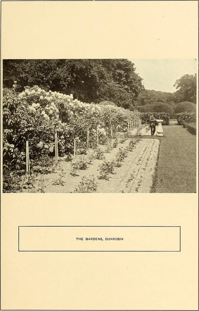 An illustration from Other famous homes of Great Britain and their stories, 1902, leaf 264